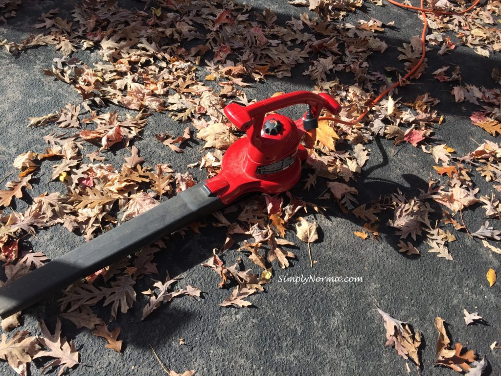 Leaf Blower