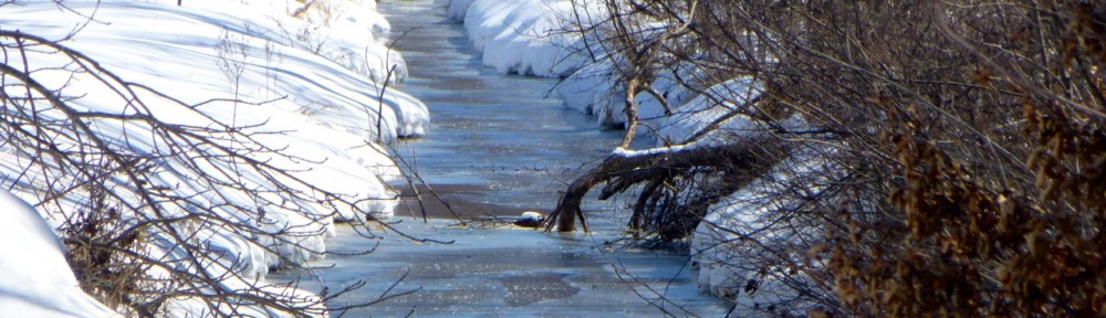 A Trip to the Brainerd Area