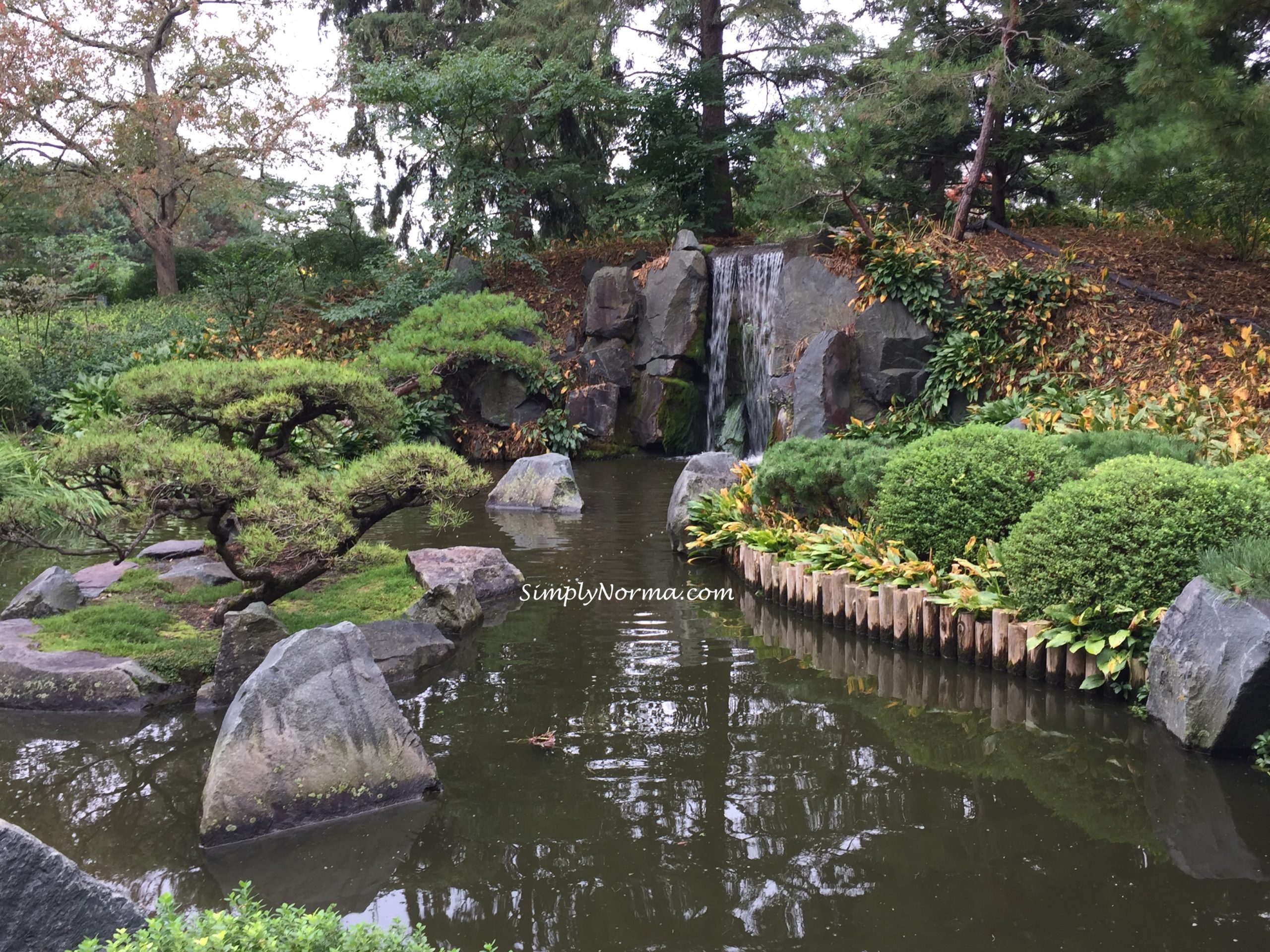 Japanese Garden Waterfalls Minnesota Landscape Arboretum Simply